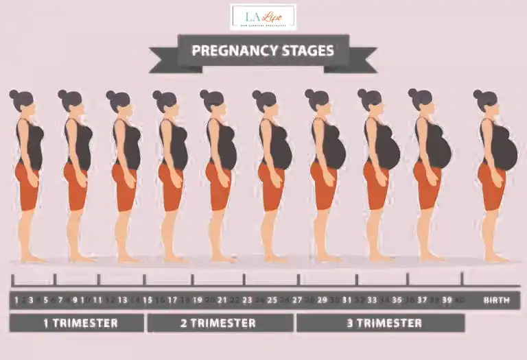 First Trimester (Weeks 1–12): Early Changes You Might Not Notice Twickenham